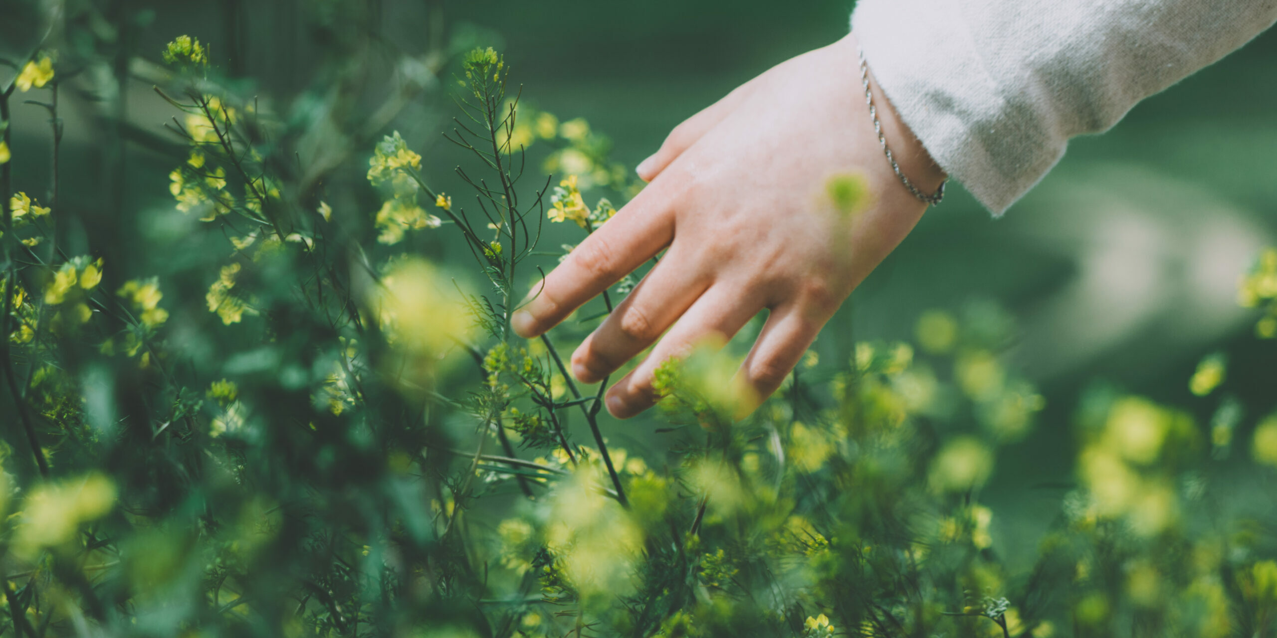 ba0007画像アイキャッチ