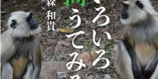 スクリーンショット 2024-05-08 095416